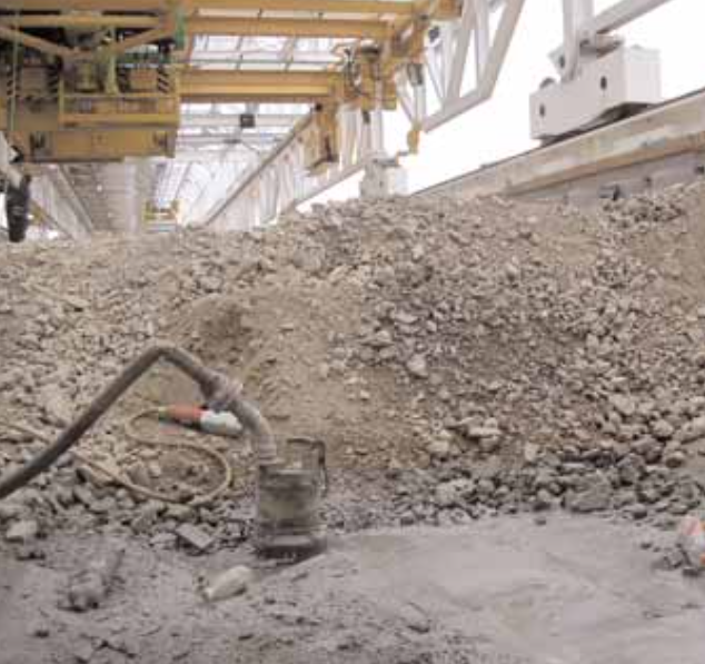 Alagutepites Tsurumi 2