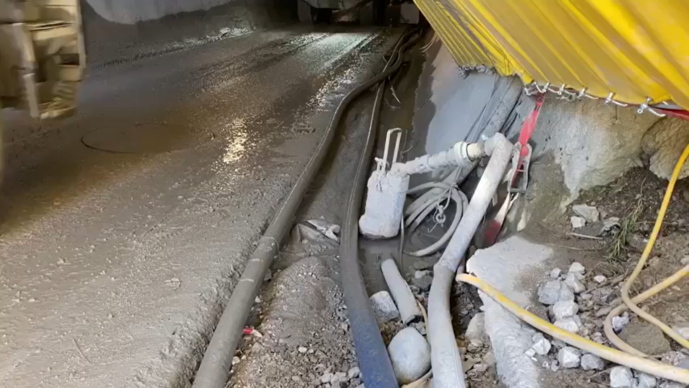 Alagutepites Tsurumi